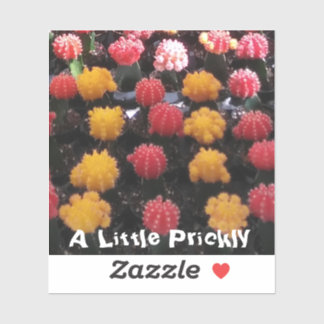 Sticker Fruit Cactus