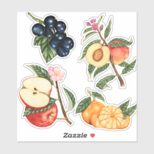 Sticker Fruits mignons