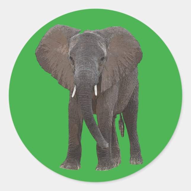 Sticker für afrikanische Elefanten (Vorderseite)