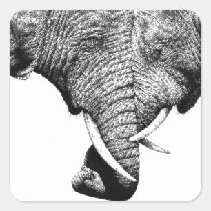 Sticker für afrikanische Elefanten