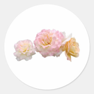 Sticker für elegante Rose