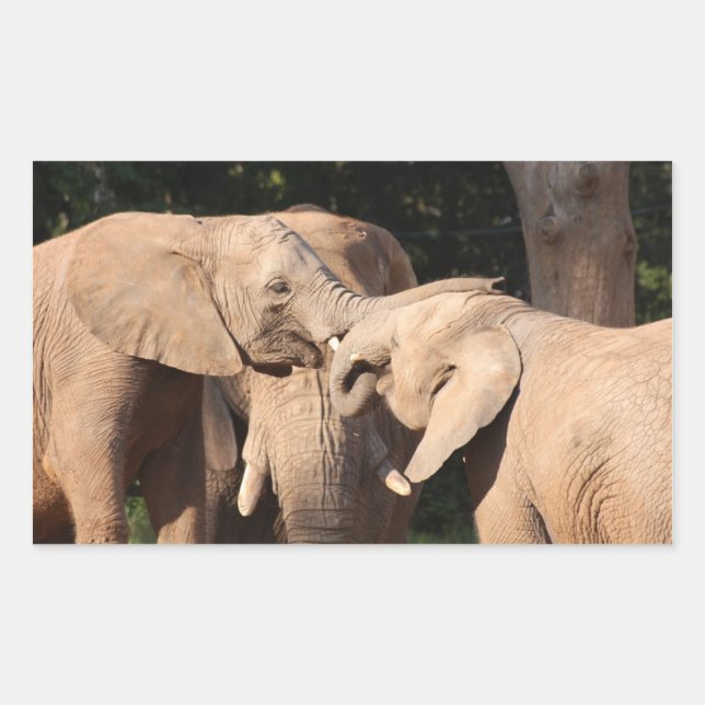 Sticker für Elephant-Lieben (Vorderseite)
