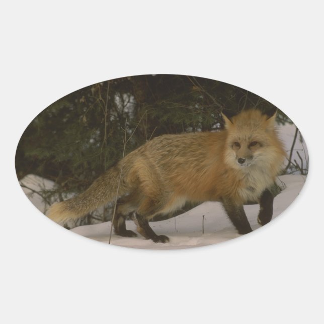 Sticker für Sie, um Ihr eigenes Projekt zu erstell (Vorderseite)