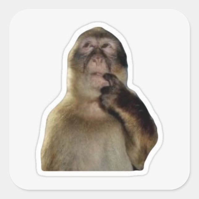 Sticker für unschuldige Affen (Vorderseite)