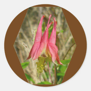 Sticker für Wild Columbine