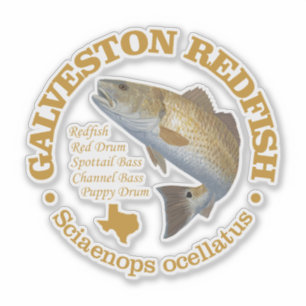 Sticker Galveston (sébaste)