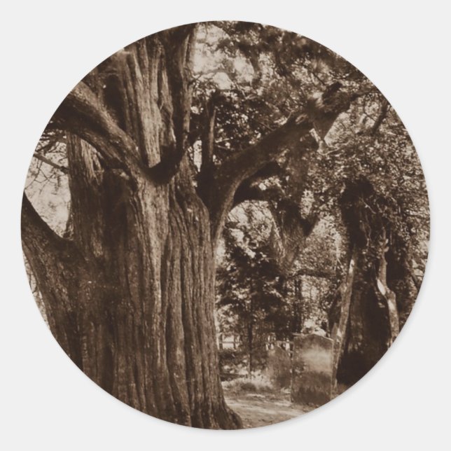 Sticker Généalogie Churchill Old Yew Arbre Pierres (Devant)