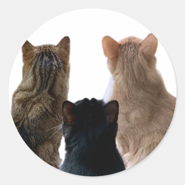 Sticker Geronimo, Henri & Floyd (Devant)