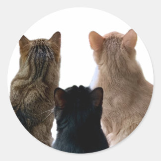 Sticker Geronimo, Henri & Floyd