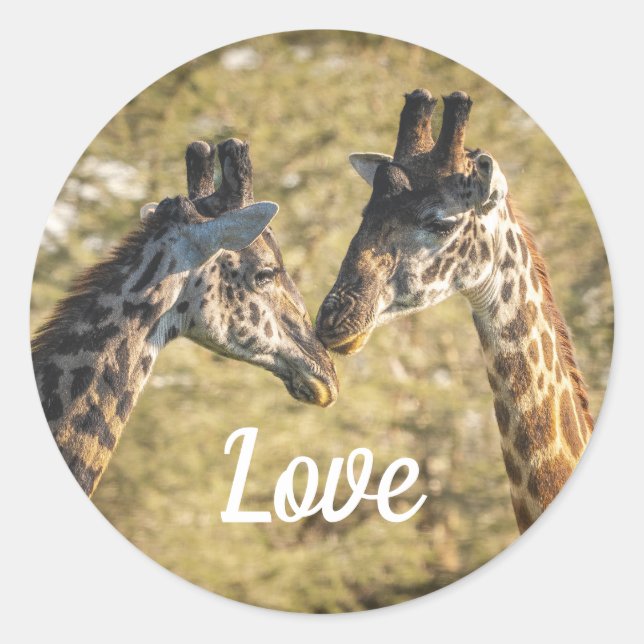 Sticker Giraffs in Love (Devant)