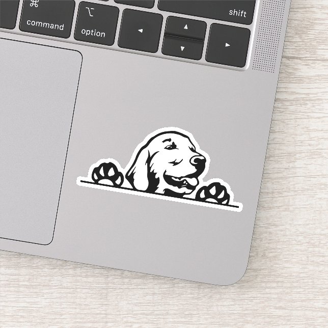 Sticker Golden retriever (Détail)