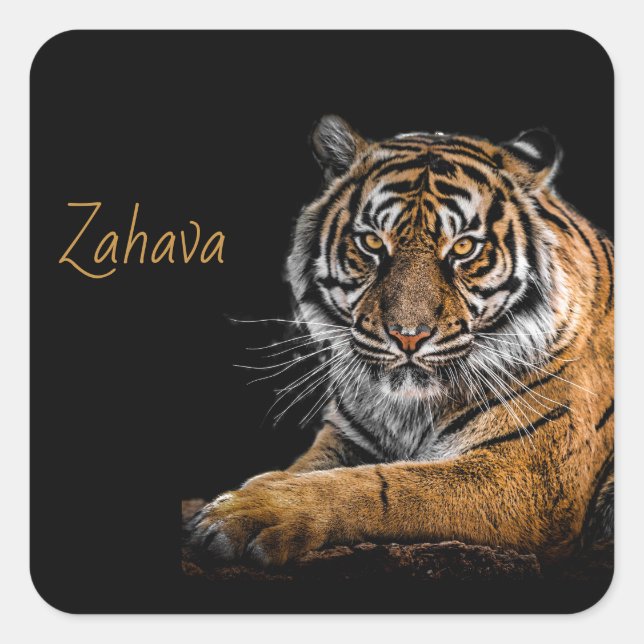 Sticker Golden Tiger (Devant)