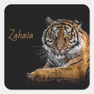 Sticker Golden Tiger