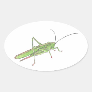Sticker Grasshopper