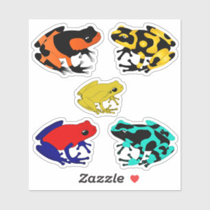 Sticker Grenouille à pattes colorées