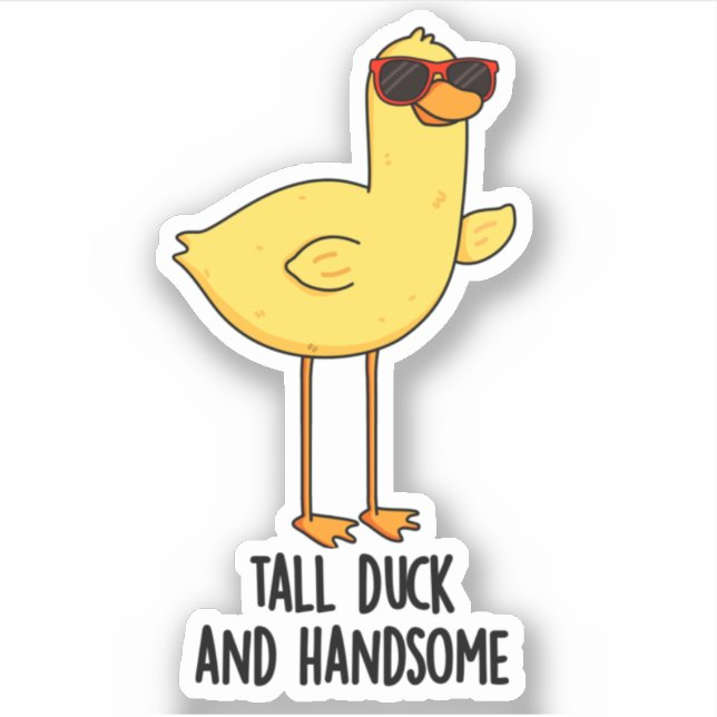 Sticker Gros Canard Et Belle Chatte Animale Drôle (Devant)