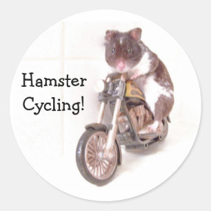 Sticker HamsterCycling!