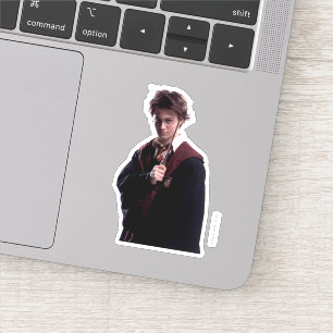Sticker Harry Potter Lève