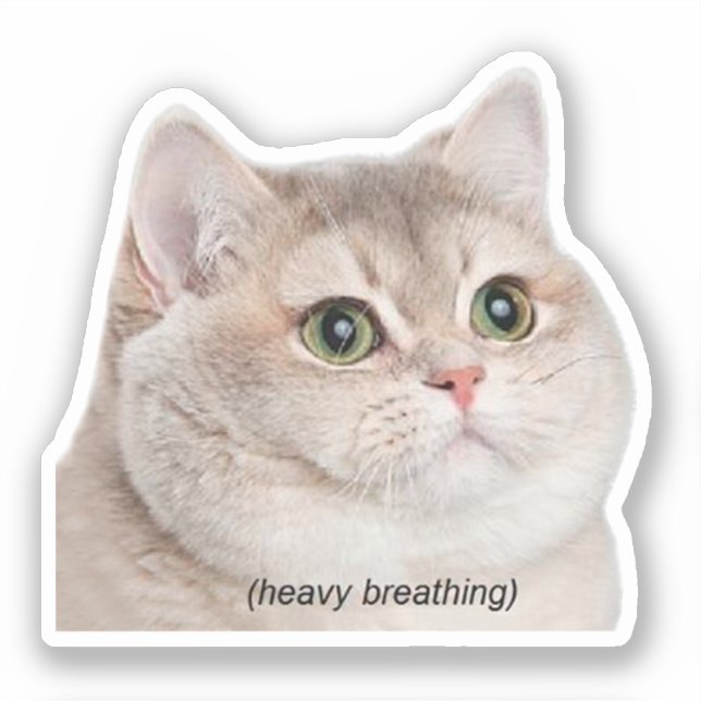 Sticker Heavy Breathing Cat Meme (Recto)