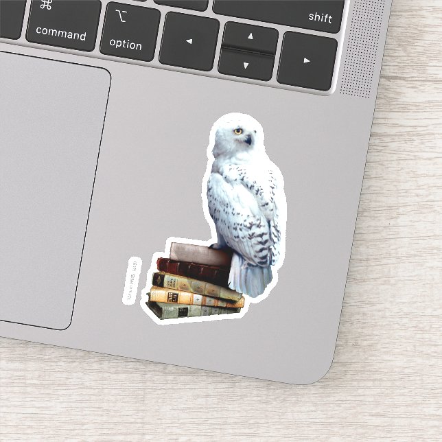 Sticker Hedwig dans les livres (Détail)
