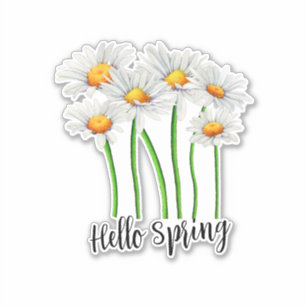 Sticker Hello Spring, Daisy Flowers Design