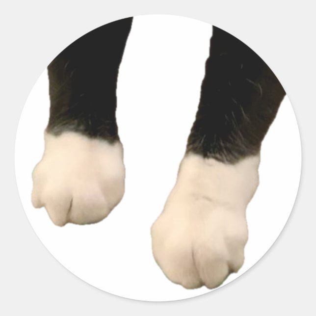 Sticker Henri - Pieds ! (Devant)