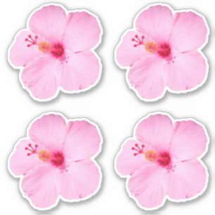 Sticker Hibiscus rose Fleur tropicale