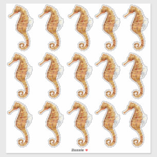 Sticker Hippocampe 15 Grande aquarelle peinte transparente