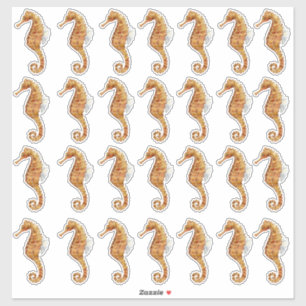 Sticker Hippocampe 28 Aquarelle Peint Transparent