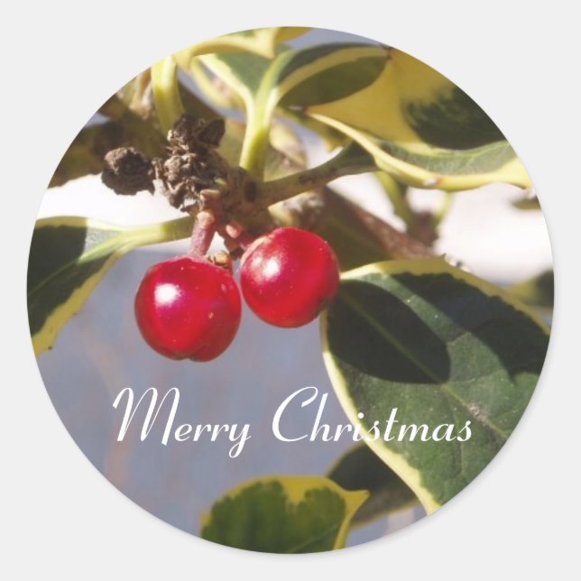 Sticker Holly & Berry Round (Devant)