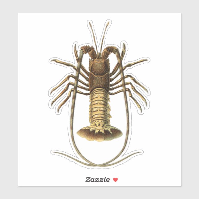 Sticker Homard vintage (Feuille)