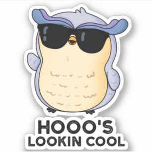 Sticker Hooo's Lookin Cool Funny Owl Pun