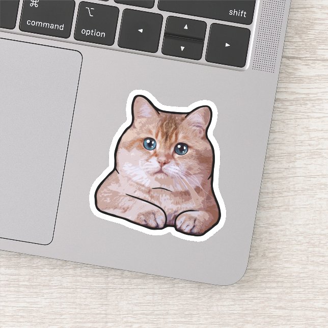 Sticker Hosico Cat (Détail)