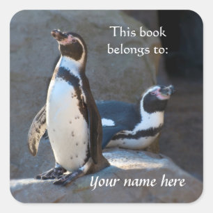 Sticker Humboldt Penguins "Ce livre appartient à"