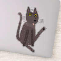 Humour drôle de chat