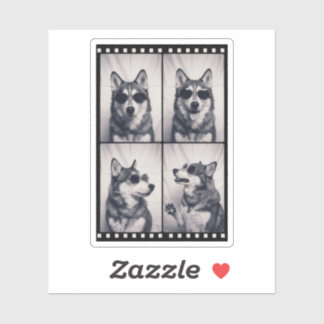 Sticker Husky Dog Portrait