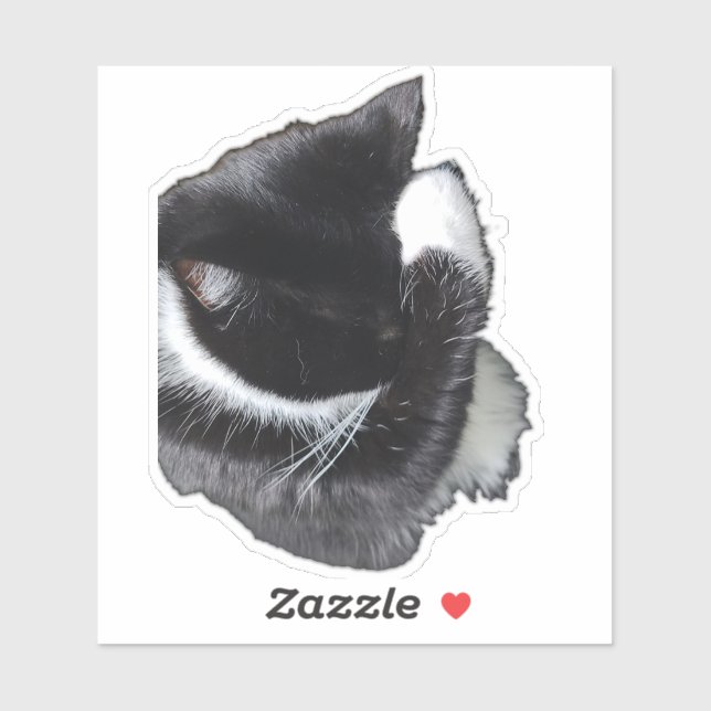 Sticker I Can't Even Right Meow (Feuille)