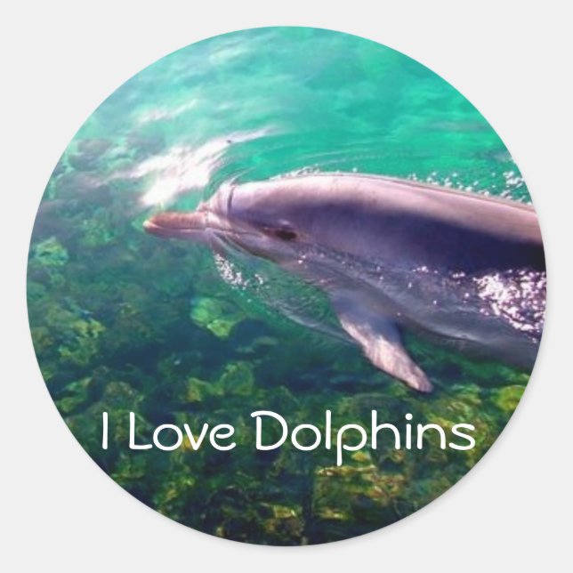 Sticker I Love Dophins (Devant)