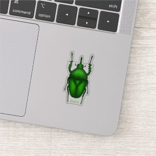Sticker Illustration de bug Mecynorhina torquata