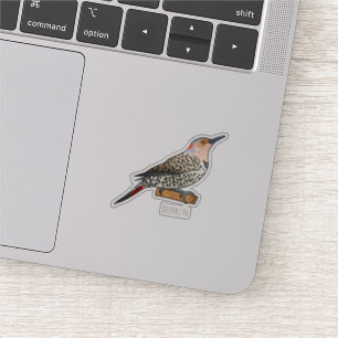 Sticker Illustration d'oiseau de scintillement du Nord