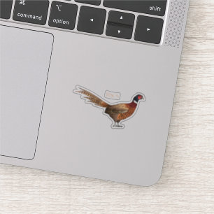 Sticker Illustration d'oiseau faisan à cou circulaire