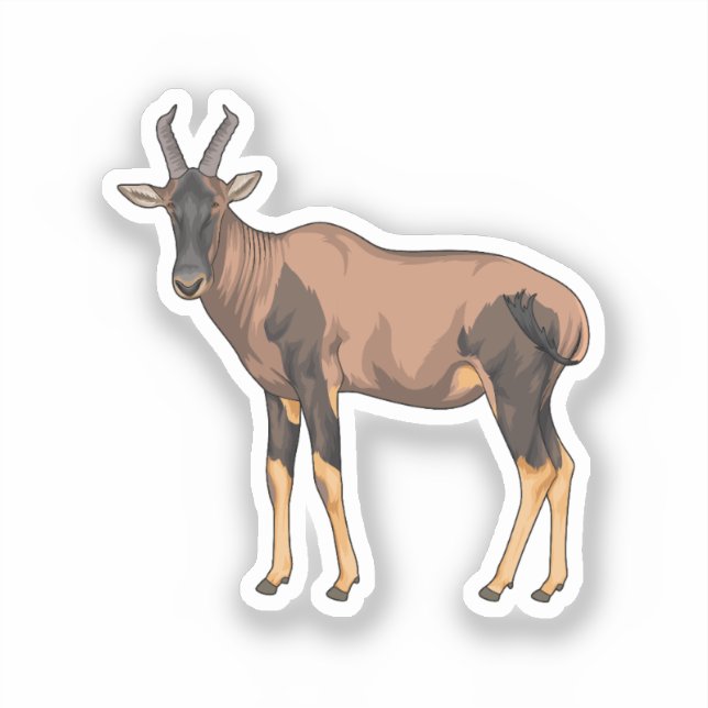 Sticker Illustration vectorielle Topi (Recto)