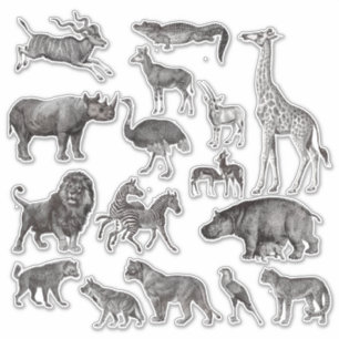 Sticker Illustrations Vintages d'animaux africains