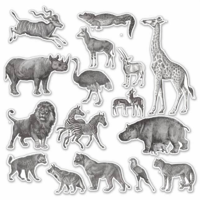 Sticker Illustrations Vintages d'animaux africains (Devant)