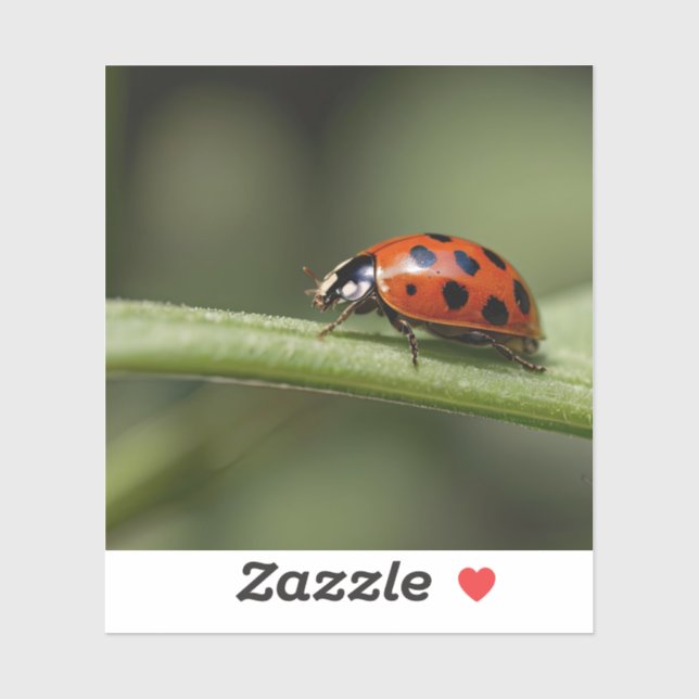 Sticker Insecte de Ladybug (Feuille)