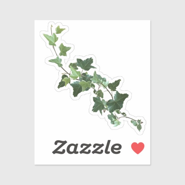 Sticker Ivy Vine Plante (Feuille)