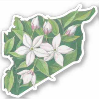 Sticker Jasmine Syrie Carte obtenue English Carte appliqué
