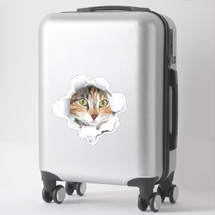 Sticker Jetez un coup d'oeil à une valise de chat