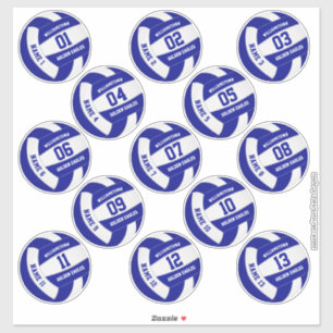 Sticker Jeu de 13 noms de joueur personnalisés volleyball