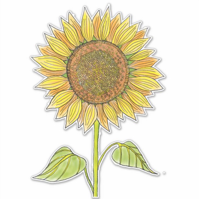 Sticker Joli Boho Art Aquarelle Jaune Tournesol (Devant)